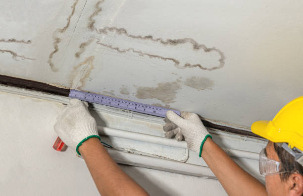 Reliable Water Removal contractor in New London, OH by Water Damage Irwin